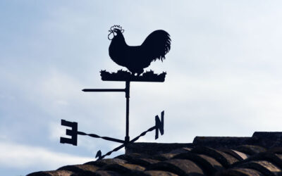 Little Weather Watchers Understand How Climate Affects Our Lives