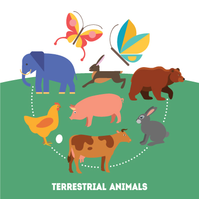 Terrestrial Animals