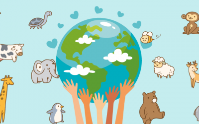 Classification of Ecosystem and The Concept of Food Chain