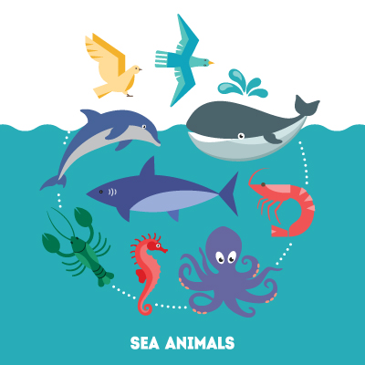 Sea-Animals