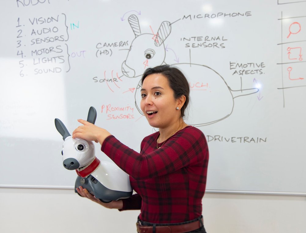 Programming Robots To Interact With Humans