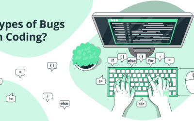 What are types of Bugs in Coding?