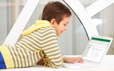 How to Input and Organize Survey Data on Microsoft Excel with the TechnoSales Curriculum