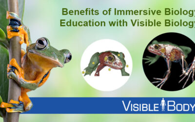 Explore the Value of Immersive Biology with Visible Biology