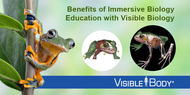 Explore the Value of Immersive Biology with Visible Biology