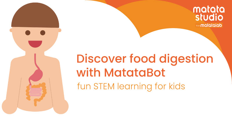 Early Childhood Learning Discover MatataBot's Impact