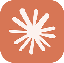 Icon 1